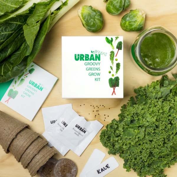 UrbanGreens Grow Kit Cube - Groovy Greens