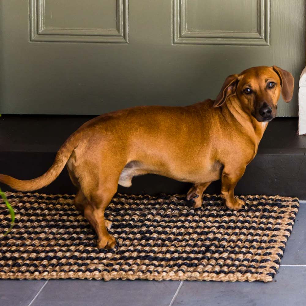 Zebra Home Caravan Stripe Jute Mat - 50cm x 80cm