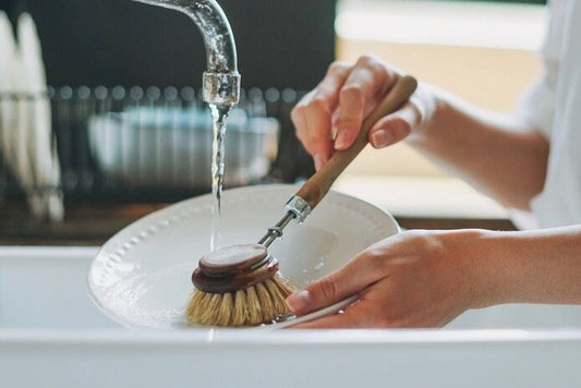 I want to… switch from plastic dish cloths and brushes to an eco alternative