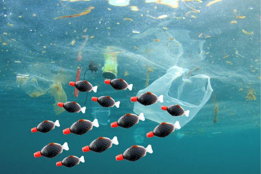 Are Sushi Soy Fish Banned?