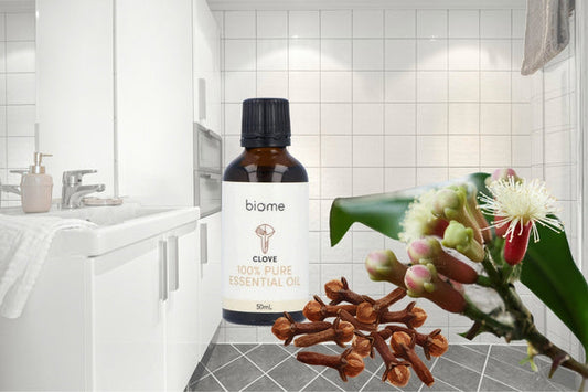 Does Clove Oil Stain? What to Know Before You Spray
