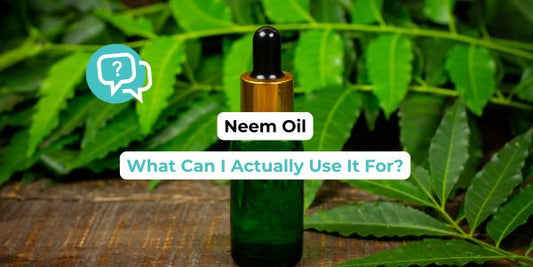 What Is Neem Oil Good For? Everyday Uses in the Garden, Skincare And Cleaning