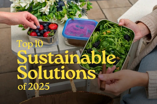 Our Top 10 Sustainable Solutions of 2025