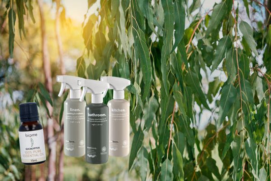 What Can You Clean With Eucalyptus Oil?