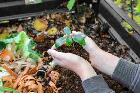 What are the benefits of composting? (For absolute beginners!)