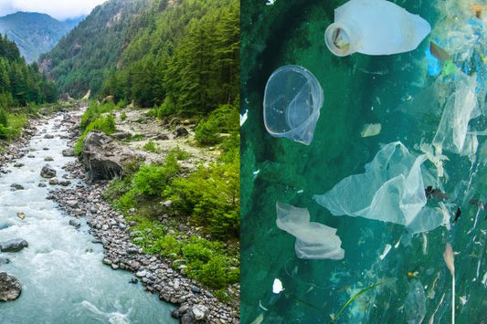 Why Go Plastic Free? The Benefits Of Making Simple Plastic-Free Swaps
