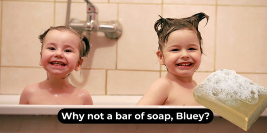 For Real Life Bluey! What's wrong with a bar of soap?