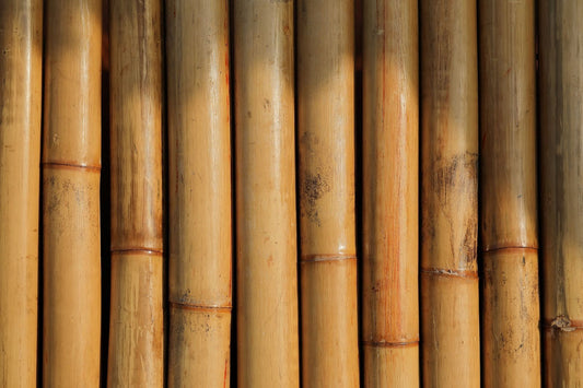 Products And Materials: What Makes Bamboo Sustainable?
