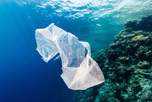 What Are The Best Bin Bags For The Environment