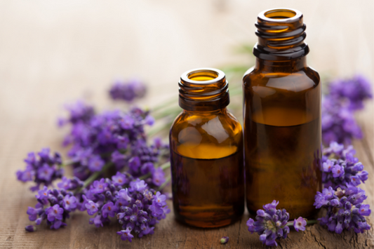 What Are Essential Oils? Your Guide to Everything Essential Oil at Biome