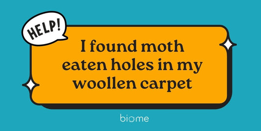 Carpet Moths: How to Stop Moths Eating Wool Carpets and Rugs