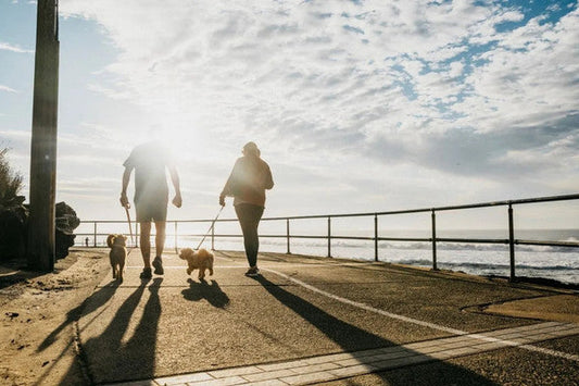 Incidental Sun Exposure in Australia: The Risk & How To Protect Your Skin