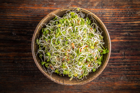 Grow Sprouts at Home: The Easy, Zero Waste Way to Get More Nutrients