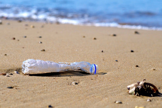8 Startling Facts About Plastic Pollution & 8 Things You Can Do About It!