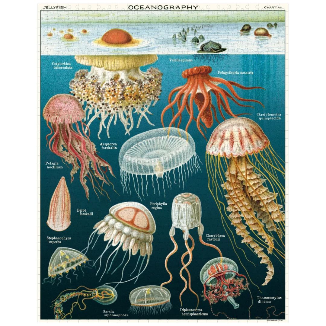 Cavallini Vintage Jigsaw Puzzle 1000 Piece - Jellyfish