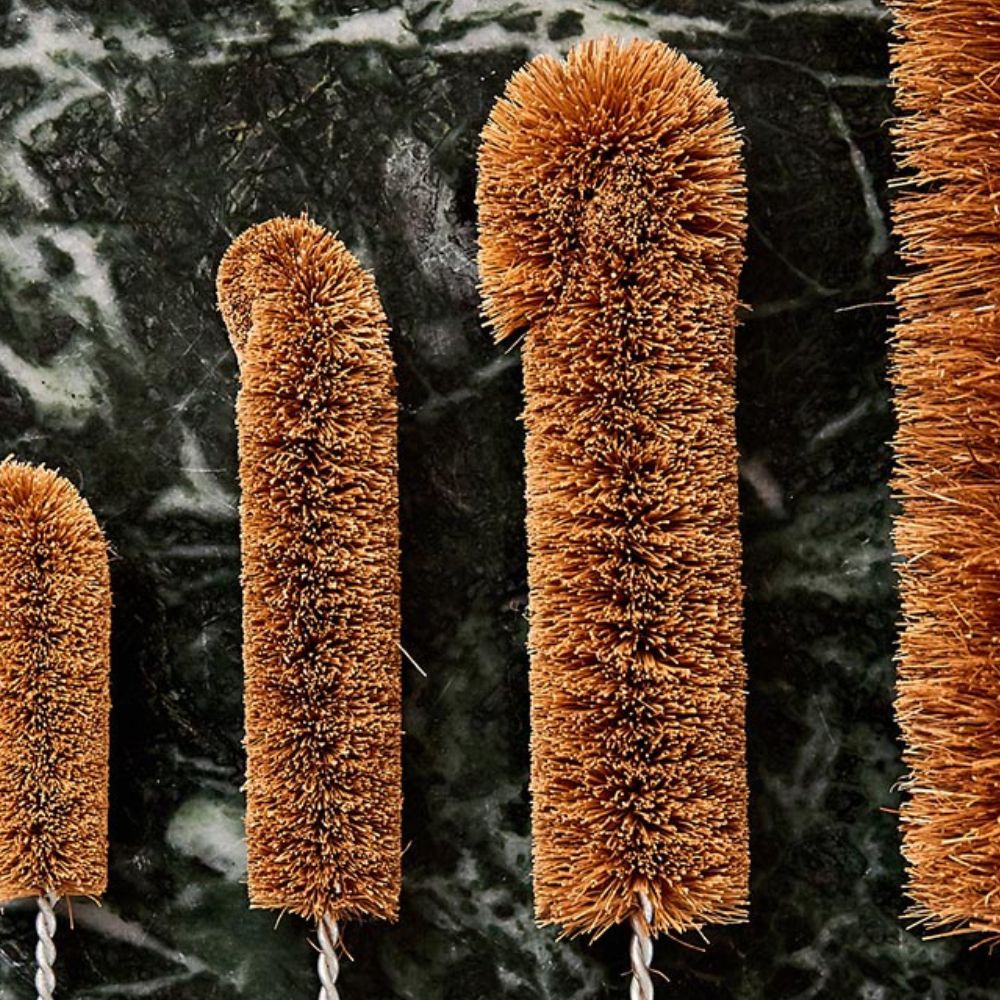 Ecomax Bottle Brush