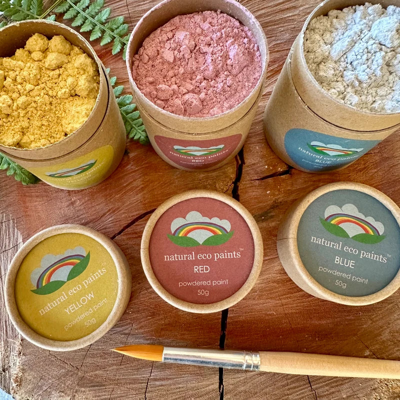 Eco Art And Craft Eco Playdough & Paint Kit (gluten free playdough)