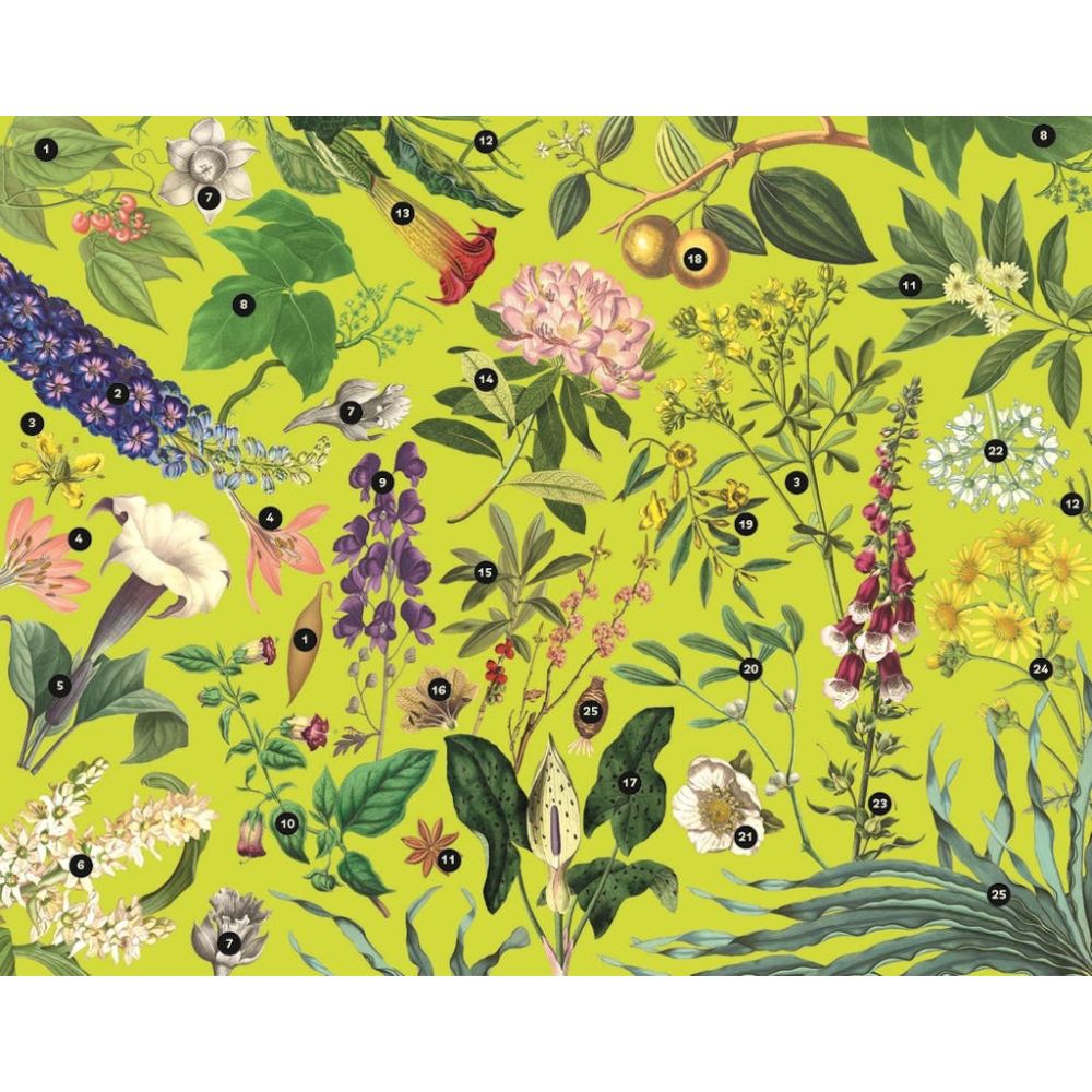 Kew 1000pc Jigsaw Puzzle - Poisonous Plants