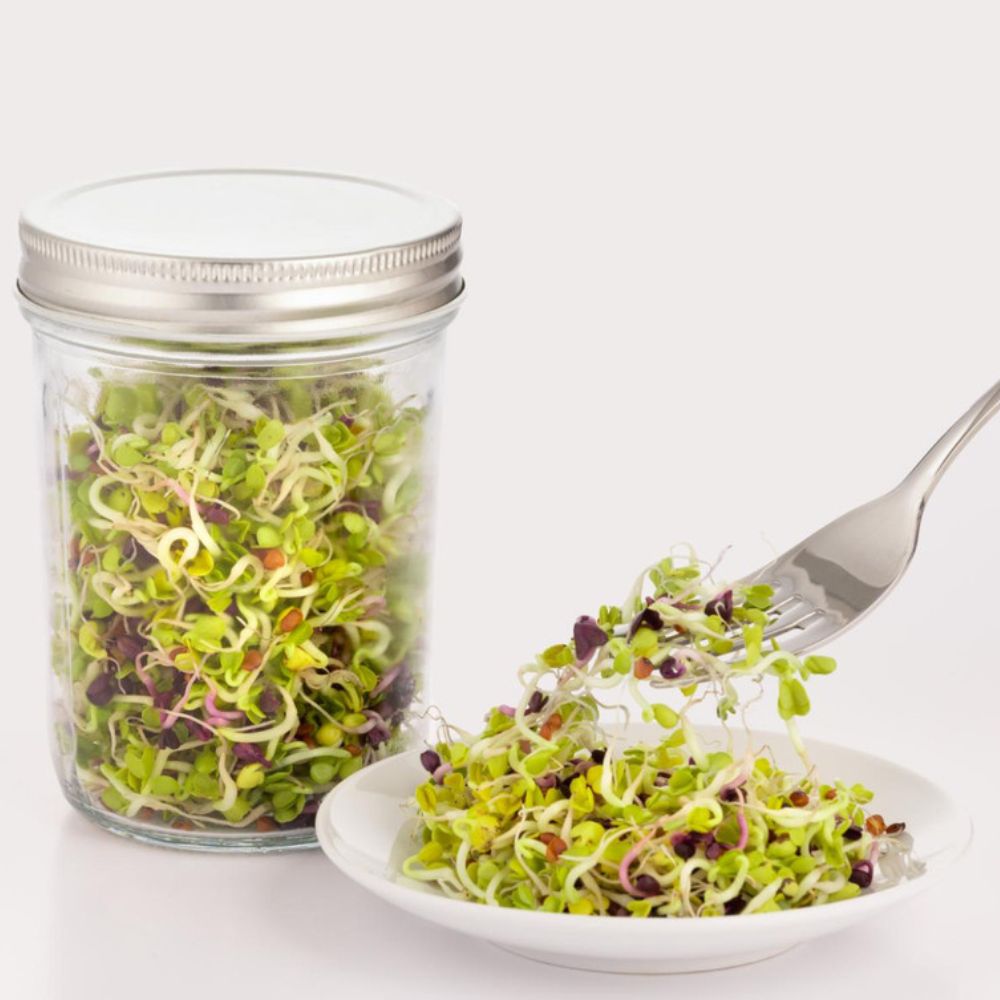Kilner Sprouting Set 350ml
