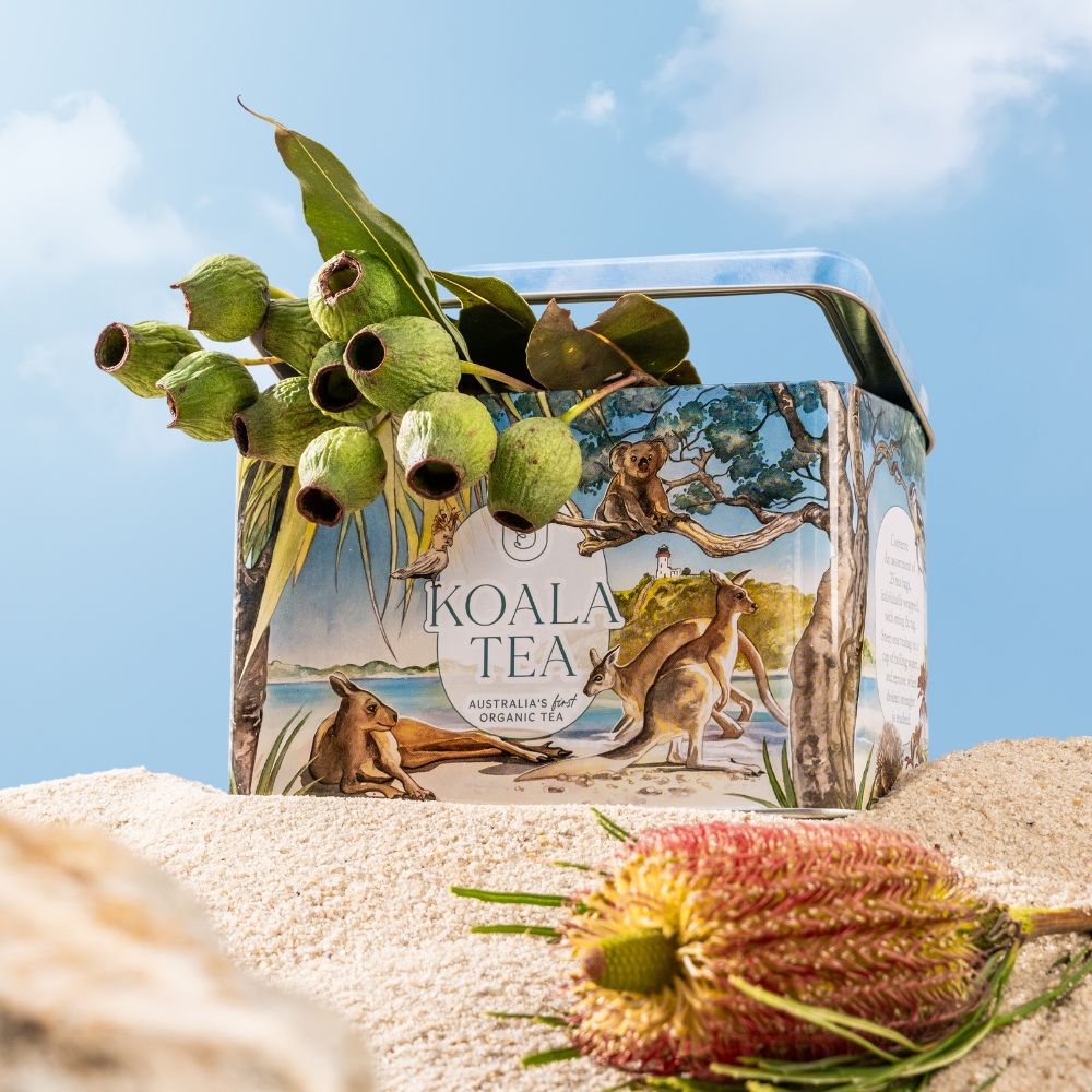 Koala Tea Gift Tin Beach - Organic Tea Bags Selection (25 pack)