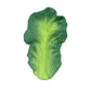 Oli & Carol Natural Rubber Baby Teether and Bath Toy - Kendall the Kale