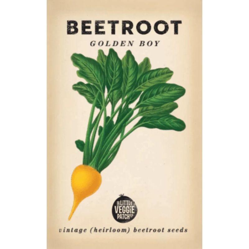 Little Veggie Patch Heirloom Seeds - Beetroot (Golden Boy)