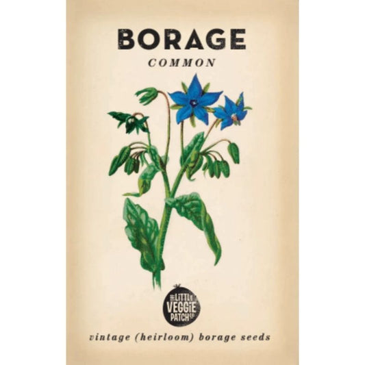 Little Veggie Patch Heirloom Seeds - Borage (Common)