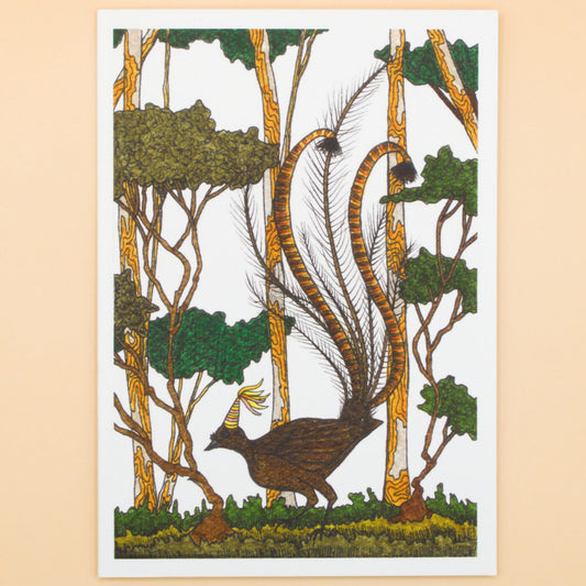 Sunshine Sea Art Greeting Card - Superb Lyrebird