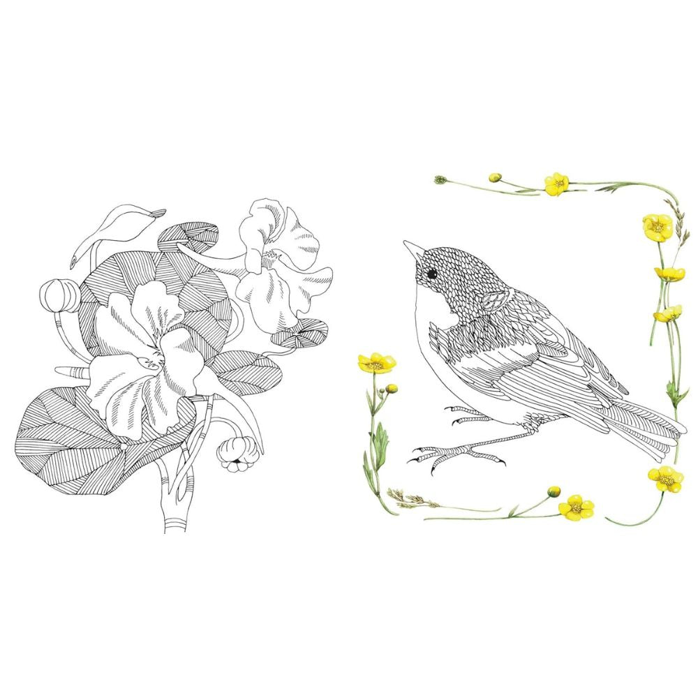 Magical Nature: Coloring Pages for Relaxation and Happiness