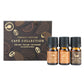 Perfect Potion Essential Oil Collection Cafe TRIO (cafe latte, chai, chocolate)