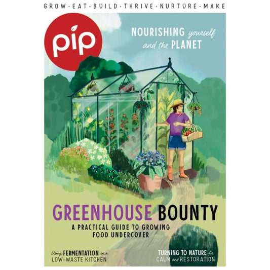 Pip Magazine - Issue 39