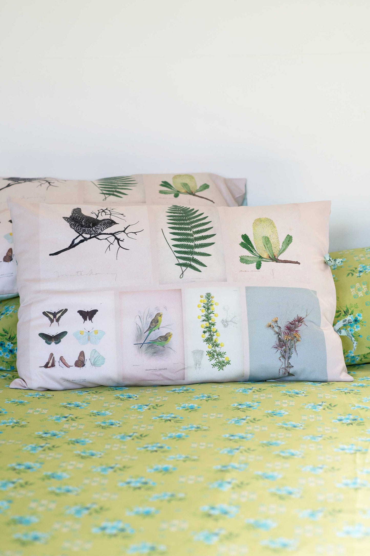 Lazybones Organic Cotton Pillowcase Set - Scrapbook