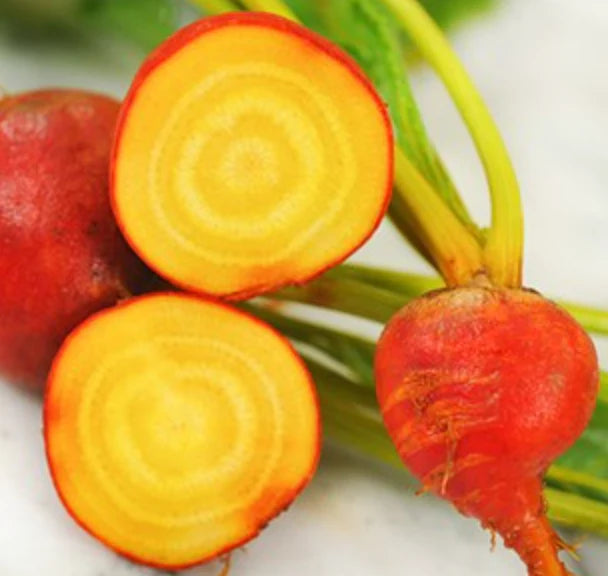 Little Veggie Patch Heirloom Seeds - Beetroot (Golden Boy)