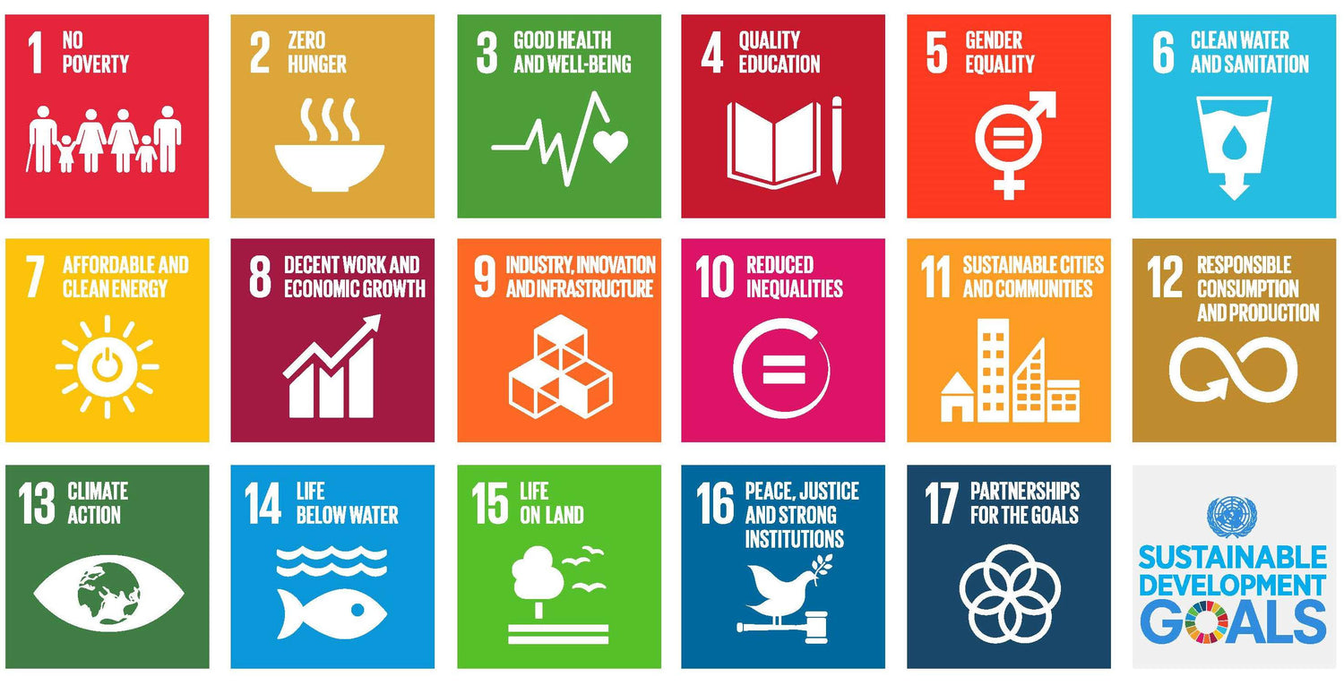 Graphic showing the 17 United Nations Sustainable Development Goals