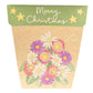 Sow 'n Sow Gift of Seeds Christmas Card - Native Daisies