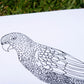 Sunshine Sea Art Activity Book - Aussie
