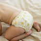 EcoNaps Modern Cloth Nappy 2.0 - Wattle