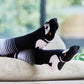 Out On The Patio Bundle - Australian Made Socks
