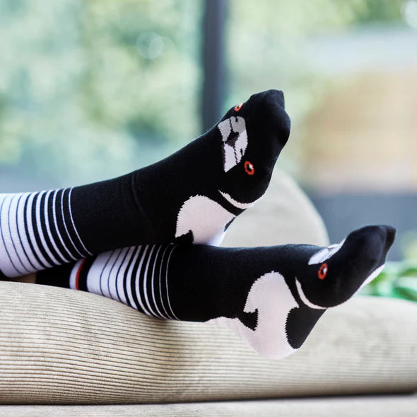Out On The Patio Bundle - Australian Made Socks