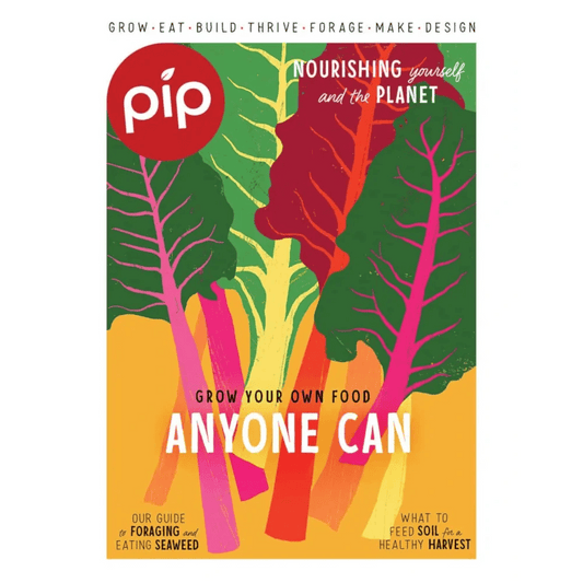 Pip Magazine Issue 29