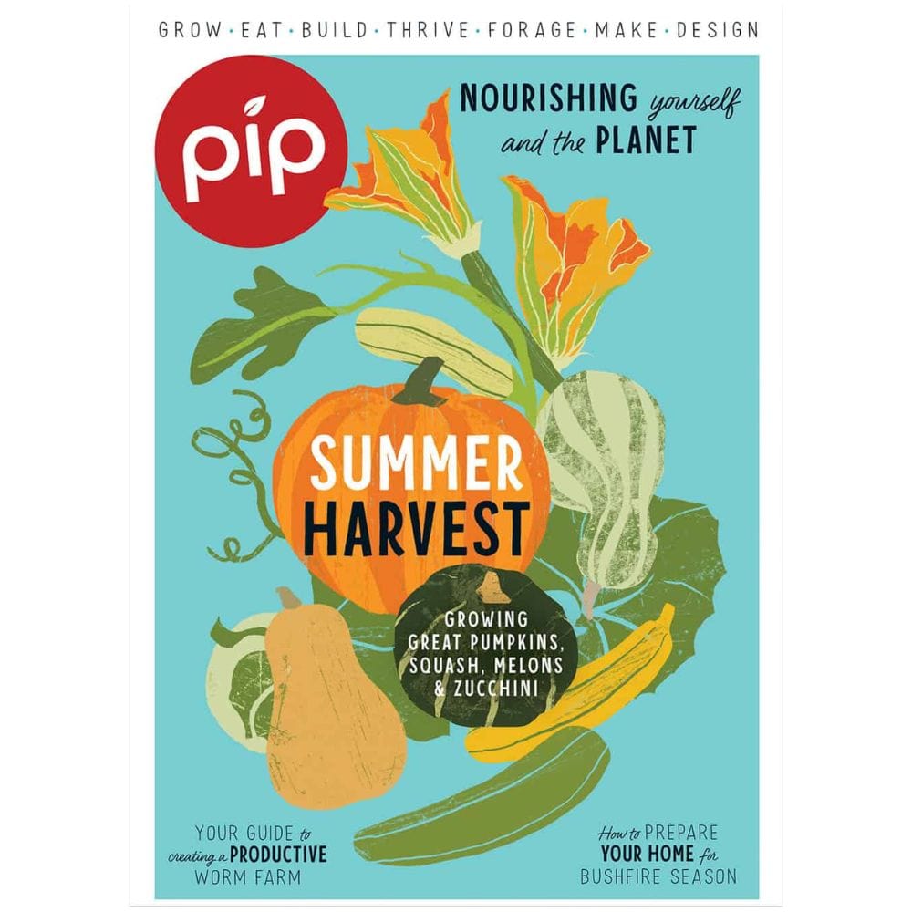 Eco-friendly environmental magazines – Biome US