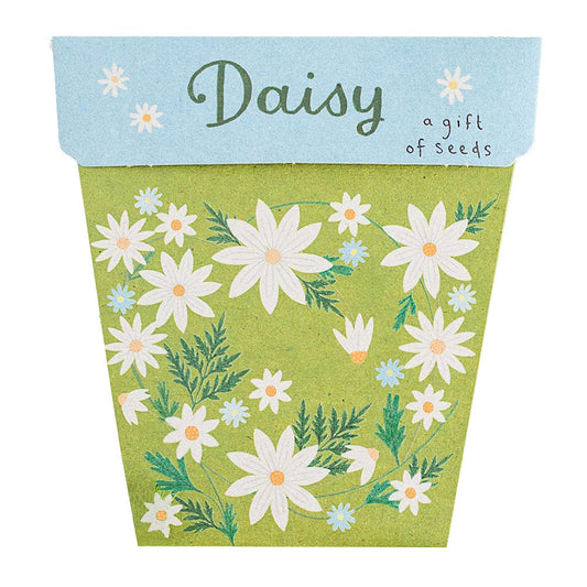 Sow 'n Sow Gift of Seeds Greeting Card - Daisy