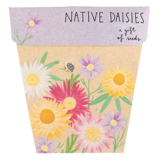 Sow 'n Sow Gift of Seeds Greeting Card - Native Daisies