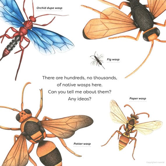 Wonderful Wasps