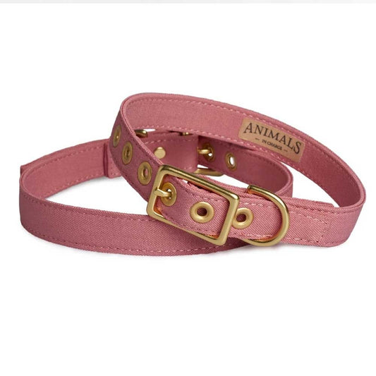 Animals In Charge All Weather Dog Collar - Dusty Pink Brass