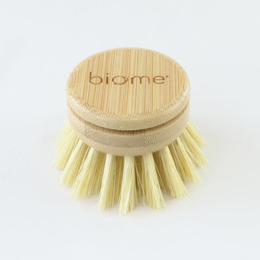 Biome Dish Brush Replacement Head