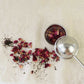 Biome Stainless Steel Tea Spring Handle Infuser