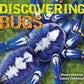 Discovering Bugs