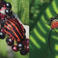 Discovering Bugs