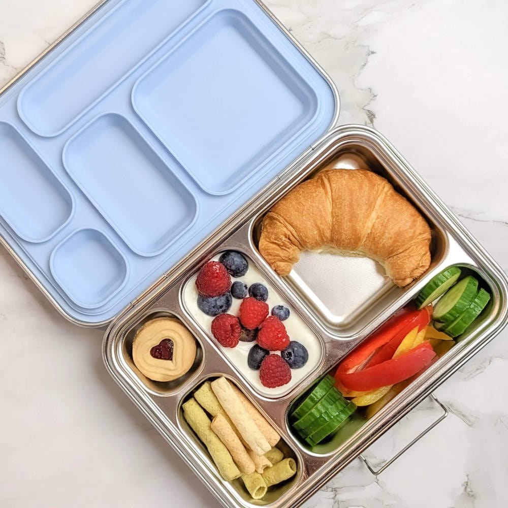Cacoon Box Buy EcoCocoon Bento Lunch Boxes - 5 Compartment – Biome US Online